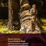 seven corners travel medical basic usa- insurance