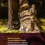 seven corners travel medical choice usa insurance